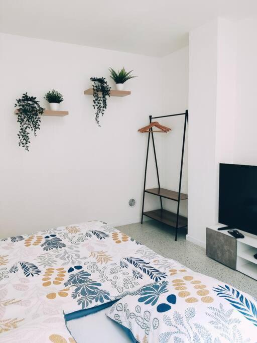 Magnifique Appartement T3 50 M2 Obernai Kültér fotó