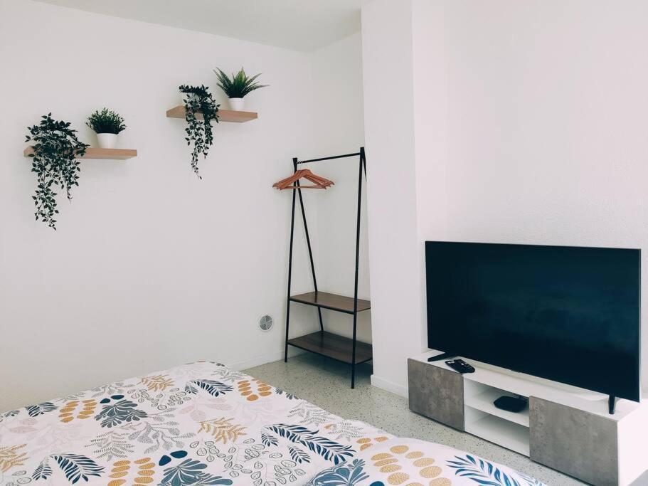 Magnifique Appartement T3 50 M2 Obernai Kültér fotó